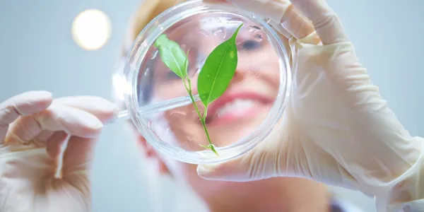 Natural Health Supplements