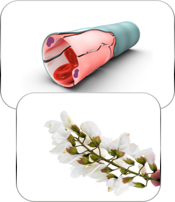 Vital Products doctor-developed natural supplement