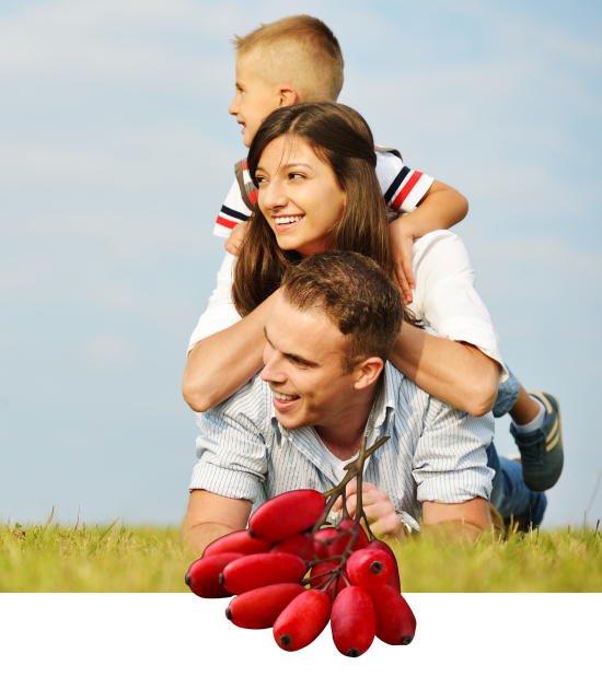 Vital Slim doctor-developed herbal weight-management supplement